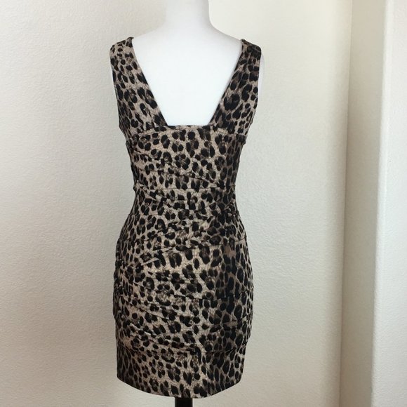 Phanuel Leopard Dress - Picture 2 of 4